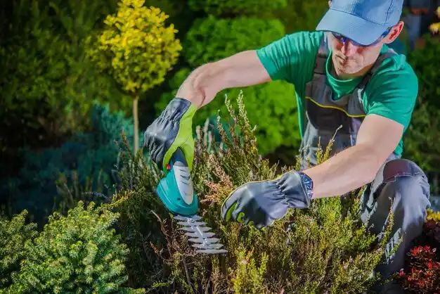 landscaping services Reserve
